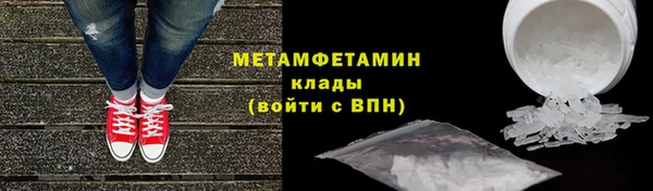гидра Белокуриха