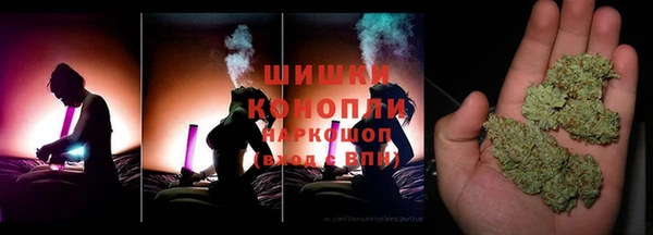 гидра Белокуриха