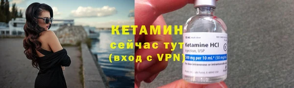 гидра Белокуриха