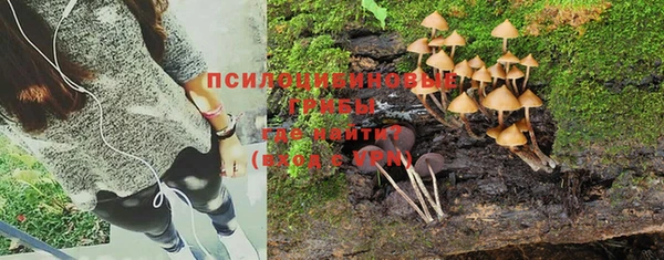 гидра Белокуриха