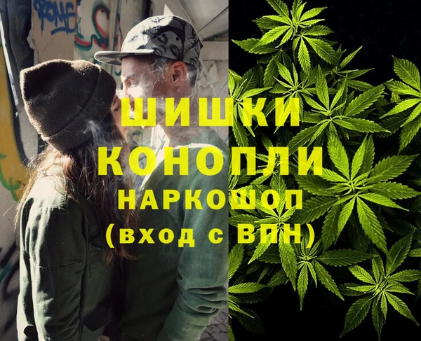 гидра Белокуриха